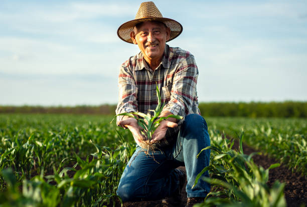 Farmers Are Better Than Teachers