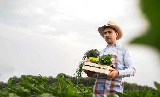 Farmers Are Better Than Traders